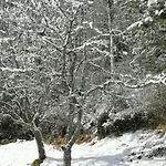 아파트 Riedbach In Mutters By Interhome *