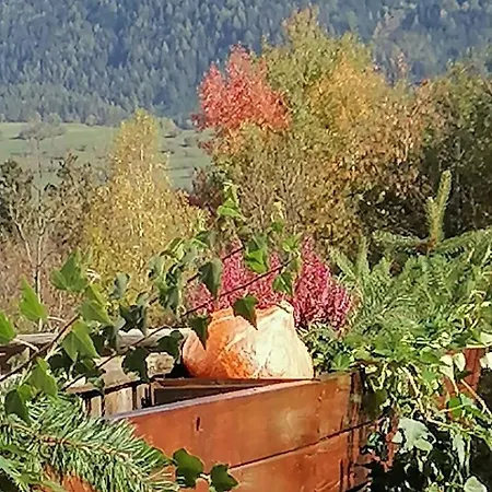 Riedbach In Mutters By Interhome *