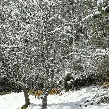 Apartamento Riedbach In Mutters By Interhome *