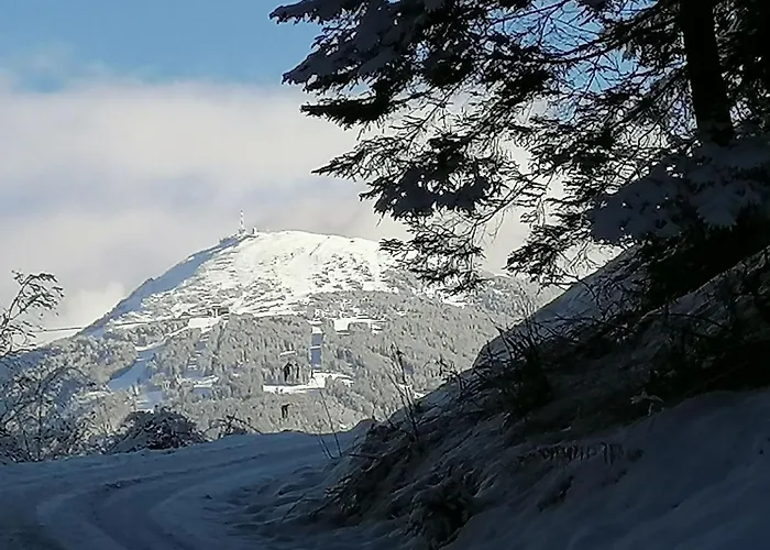 Riedbach In Mutters By Interhome Apartamento Innsbruck