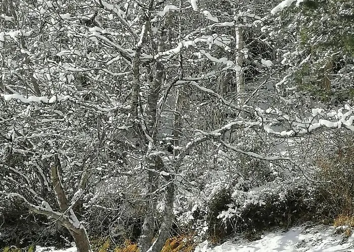 Apartamento Riedbach In Mutters By Interhome *