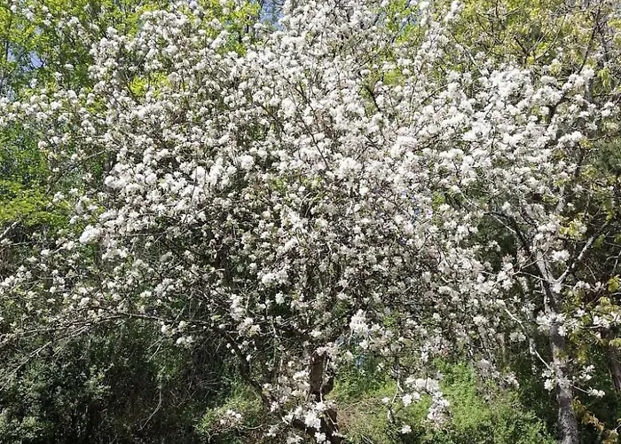 Apartament Riedbach In Mutters By Interhome Innsbruck