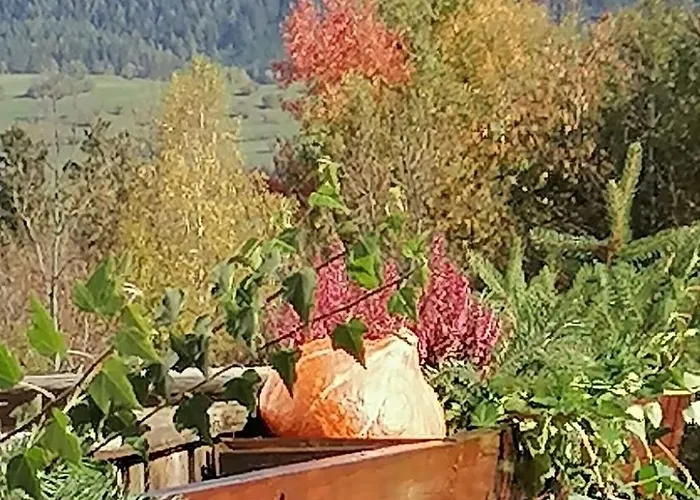 Riedbach In Mutters By Interhome *